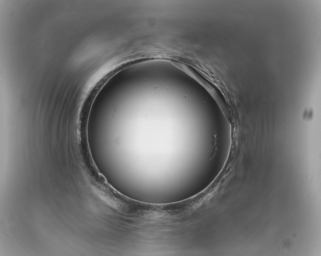 X0000091660246200709061027