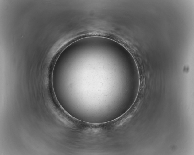 X0000091660247200709061027