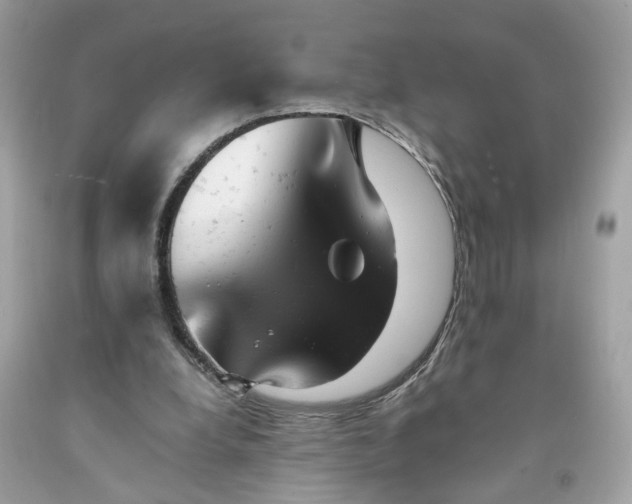 X0000091660248200709061027