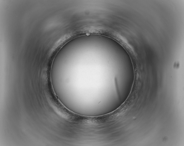 X0000091660250200709061027