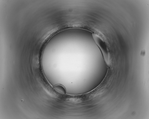 X0000091660251200709061027