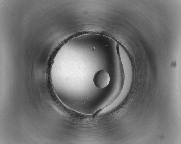 X0000091660252200709061027