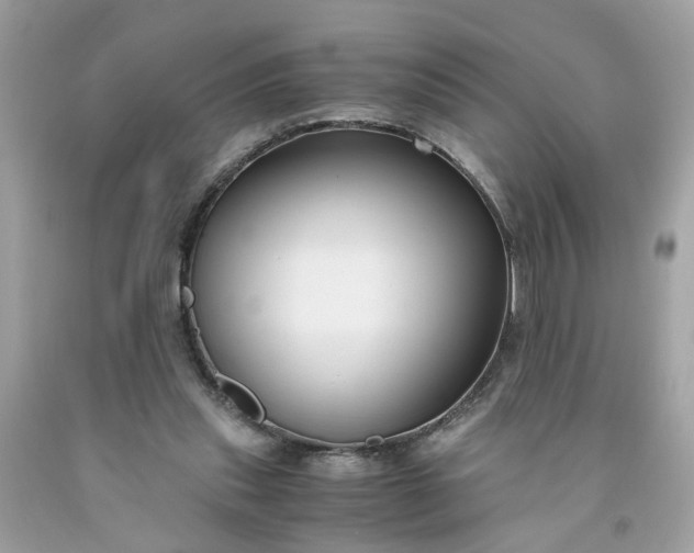 X0000091660253200709061027