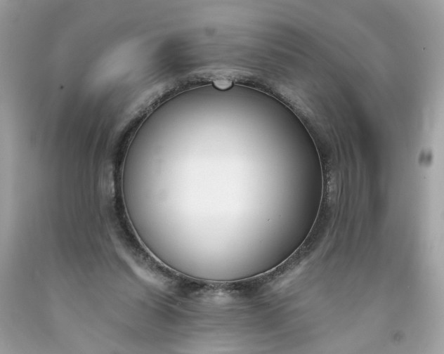 X0000091660254200709061027