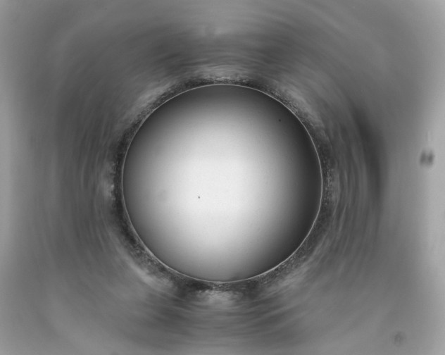 X0000091660255200709061027