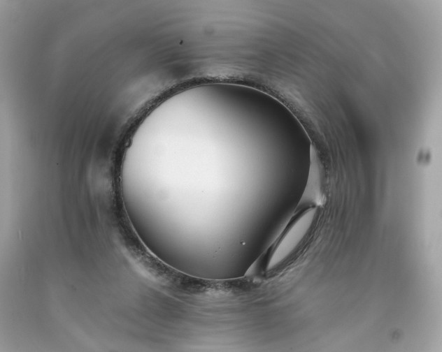 X0000091660256200709061027