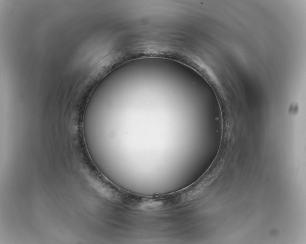 X0000091660257200709061027