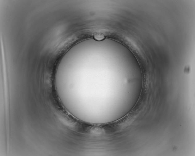 X0000091660258200709061027