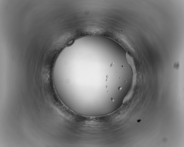 X0000091660259200709061027