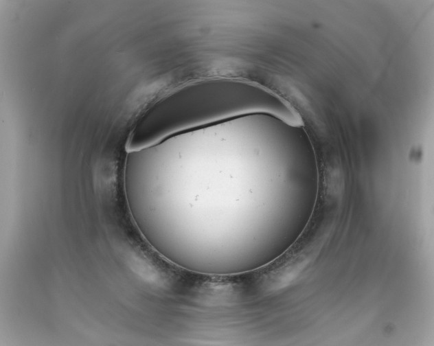 X0000091660260200709061027