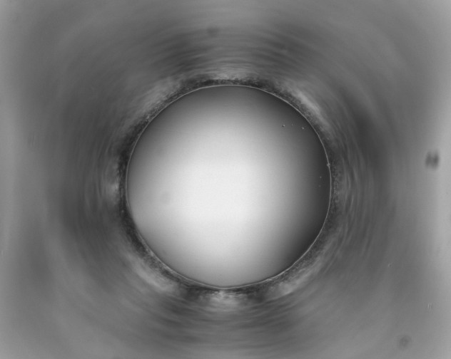 X0000091660261200709061027