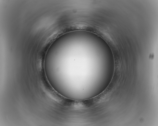 X0000091660262200709061027