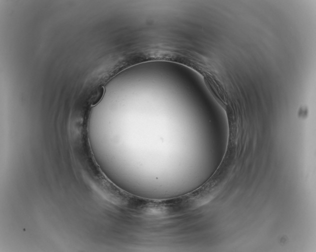 X0000091660263200709061027