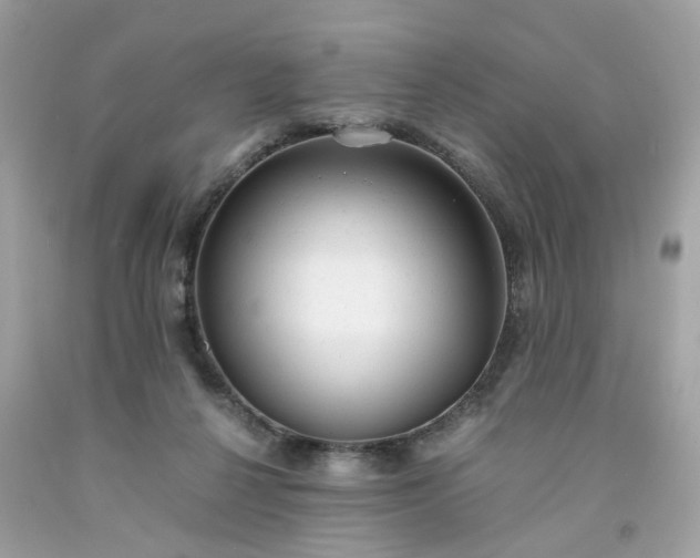 X0000091660264200709061027