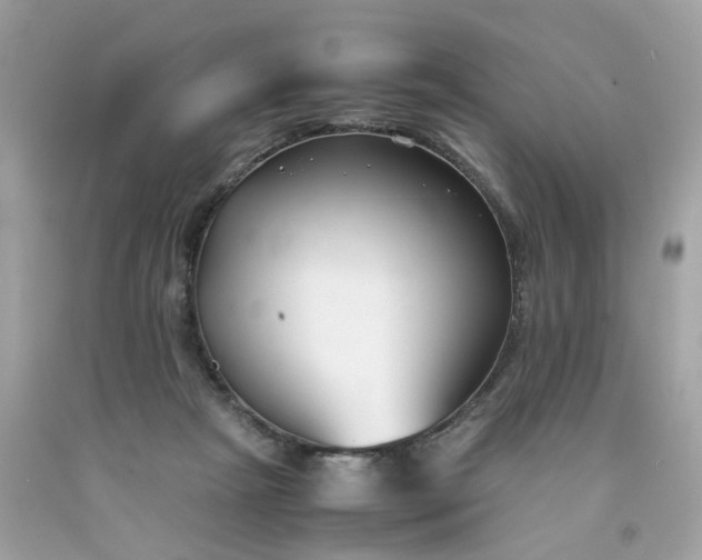 X0000091660265200709061027