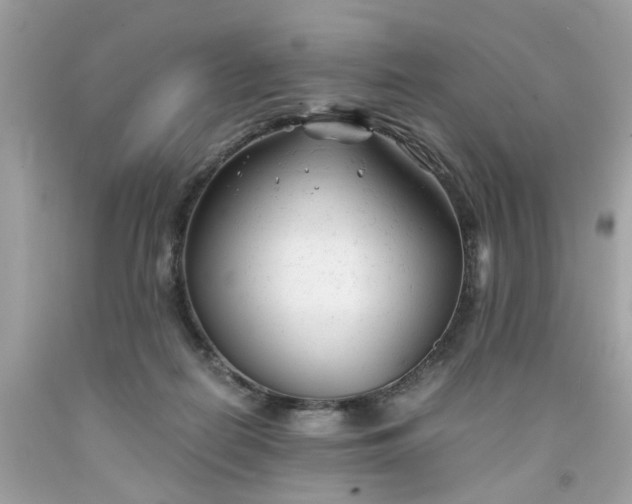 X0000091660266200709061027