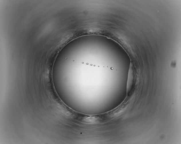 X0000091660269200709061027