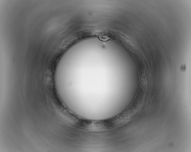 X0000091660270200709061027