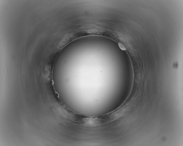 X0000091660273200709061027