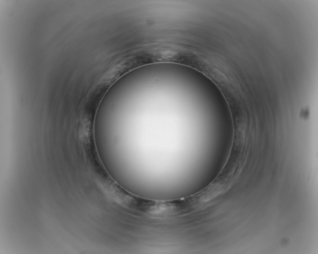 X0000091660274200709061027