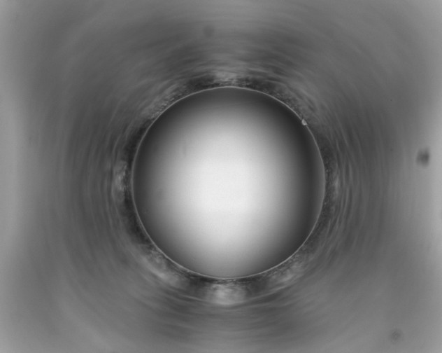 X0000091660275200709061027