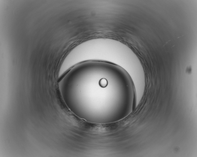 X0000091660276200709061027