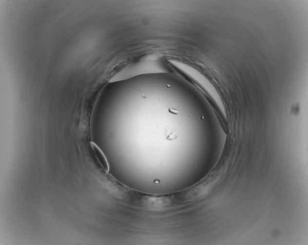 X0000091660277200709061027