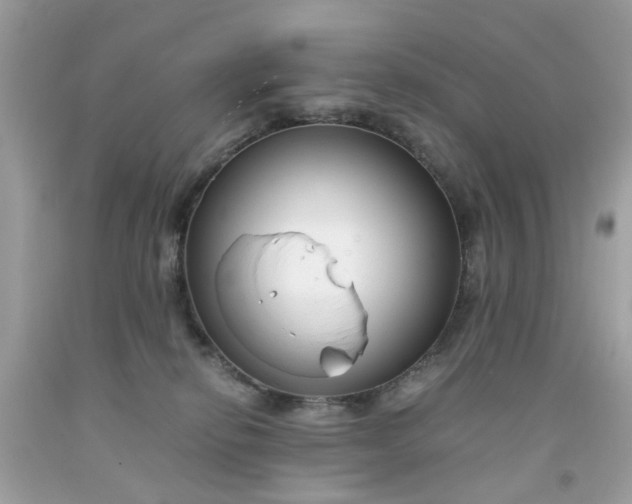 X0000091660278200709061027