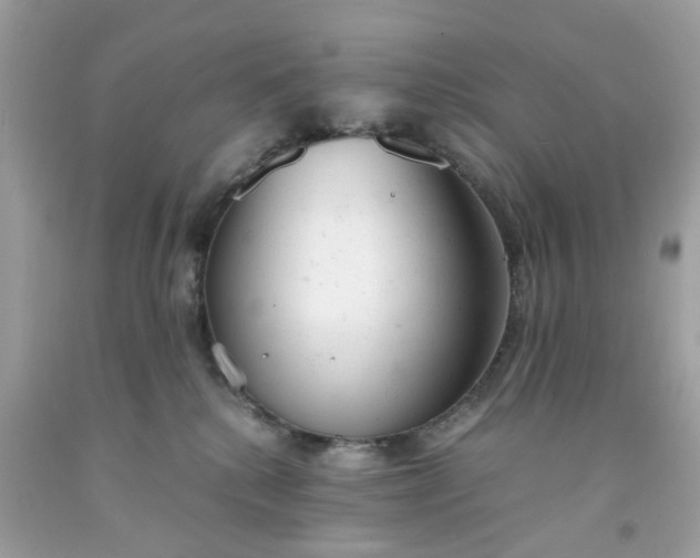 X0000091660280200709061027