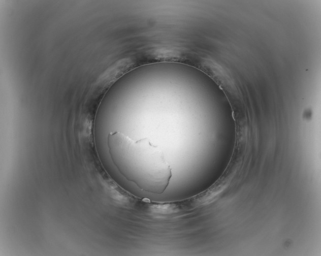 X0000091660281200709061027