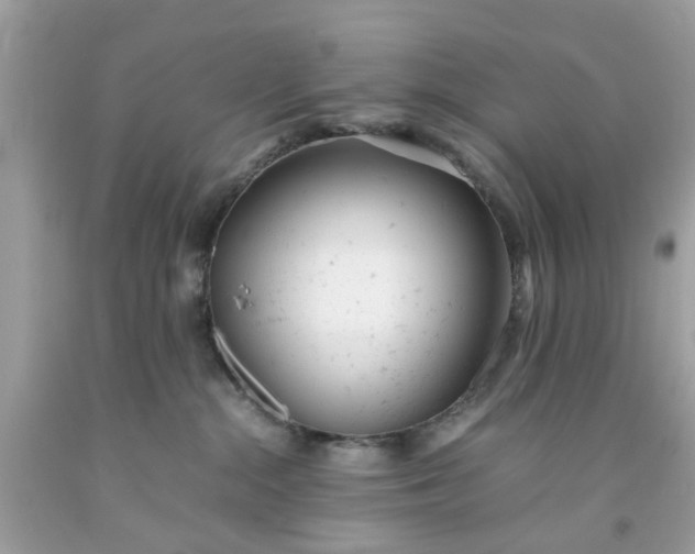 X0000091660284200709061027