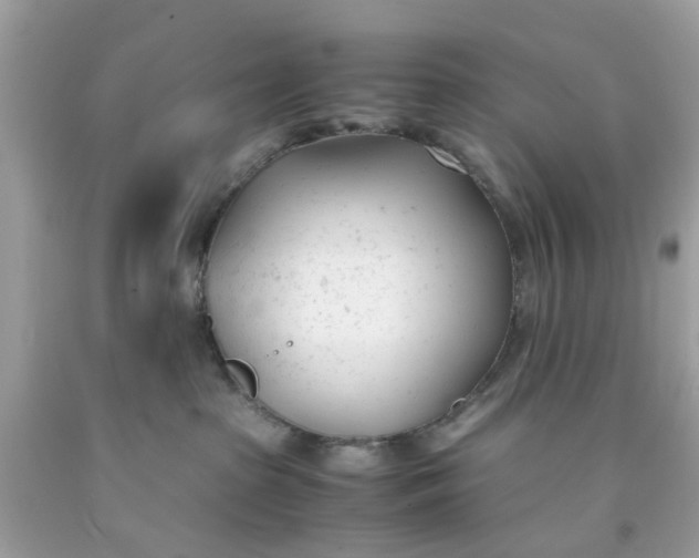 X0000091660285200709061027