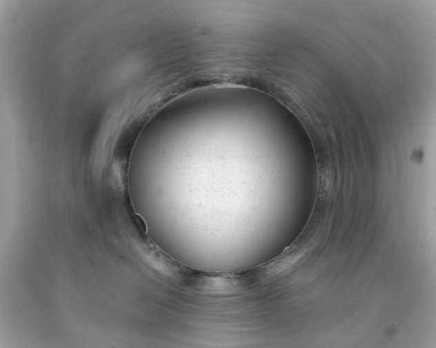 X0000091660286200709061027