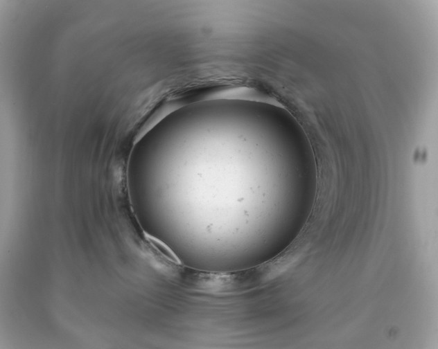 X0000091660288200709061027