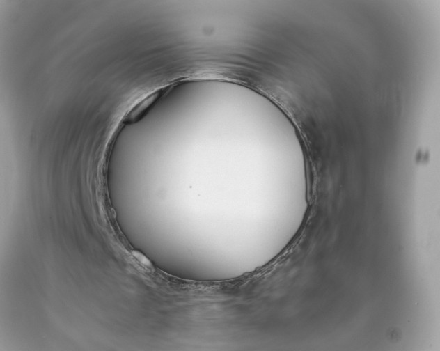 X0000091660289200709061027