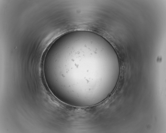 X0000091660290200709061027