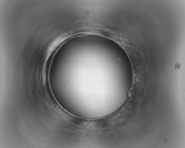 X0000091660294200709061026