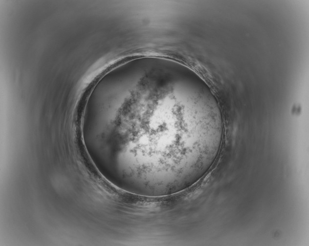 X0000091660295200709061026