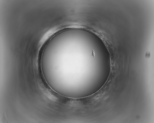 X0000091660296200709061026