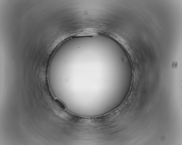 X0000091660297200709061026