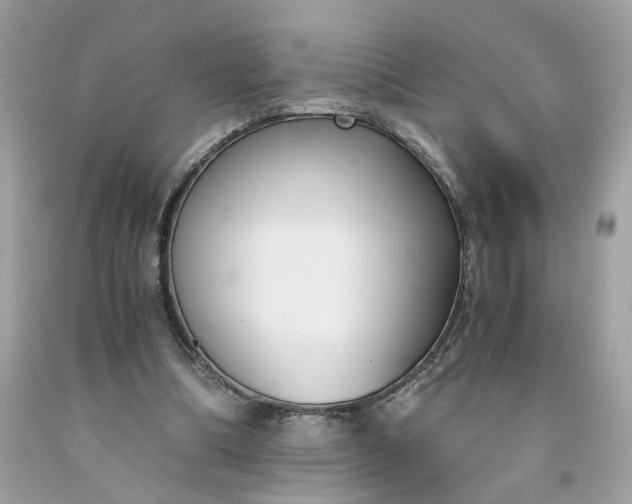 X0000091660298200709061026