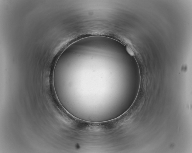 X0000091660299200709061026