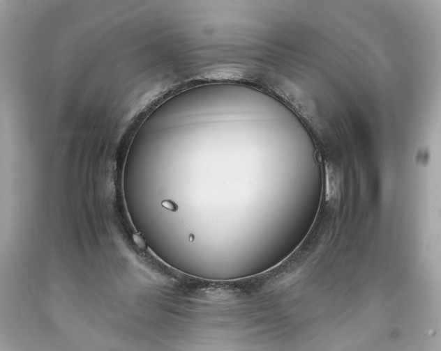 X0000091660300200709061026