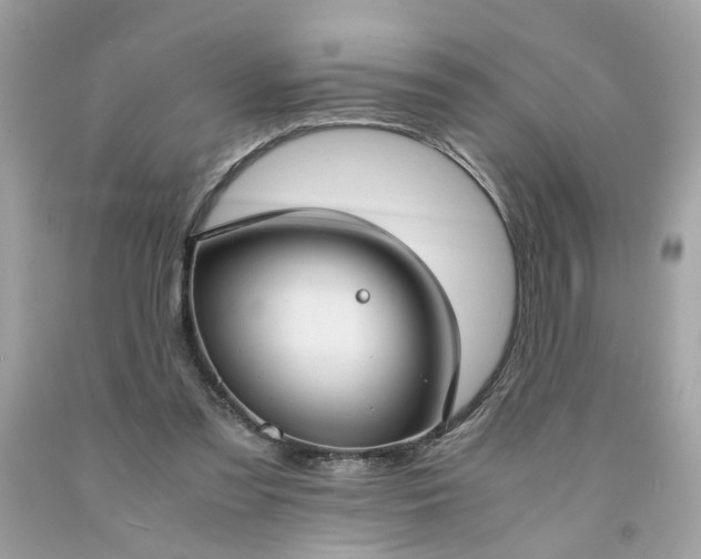 X0000091660301200709061026