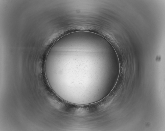 X0000091660303200709061026