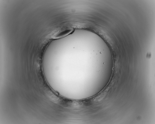 X0000091660305200709061026