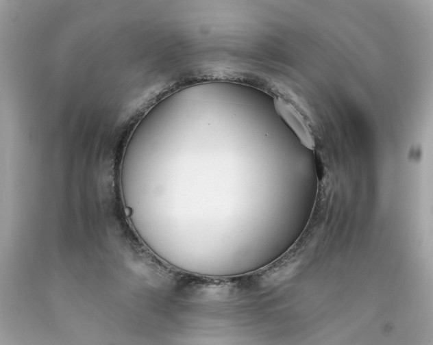 X0000091660306200709061026