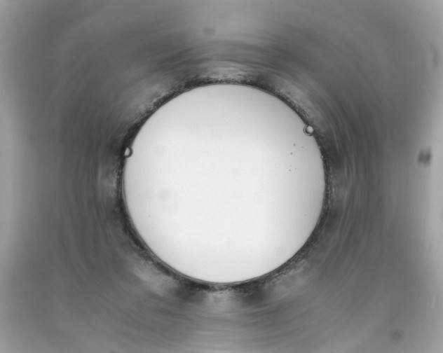 X0000091660309200709061026