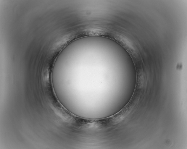 X0000091660310200709061026