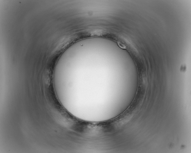 X0000091660311200709061026